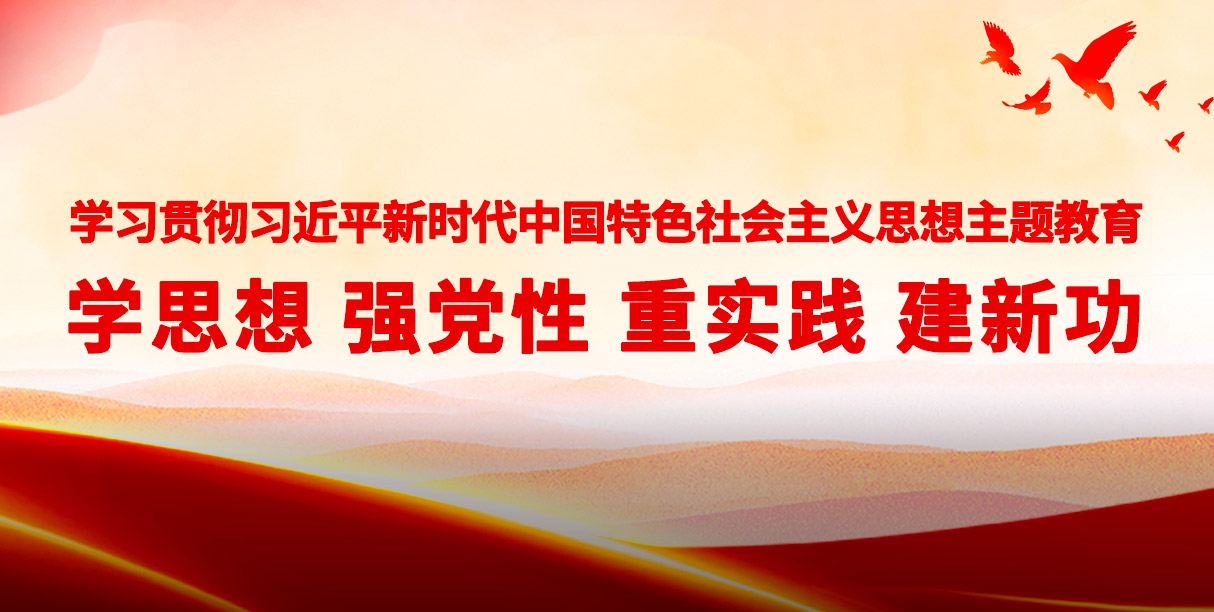 专题：学习贯彻习近平新时代中国特色社会主义思想主题教育